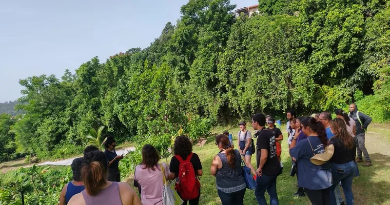 Moca Cacao Farm Walking Tour and Chocolate Tasting