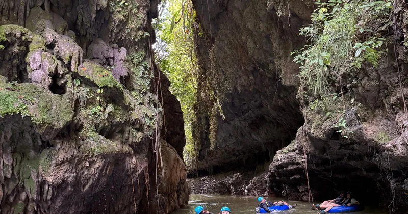Tanama River Tubing and Cave Adventure in Arecibo