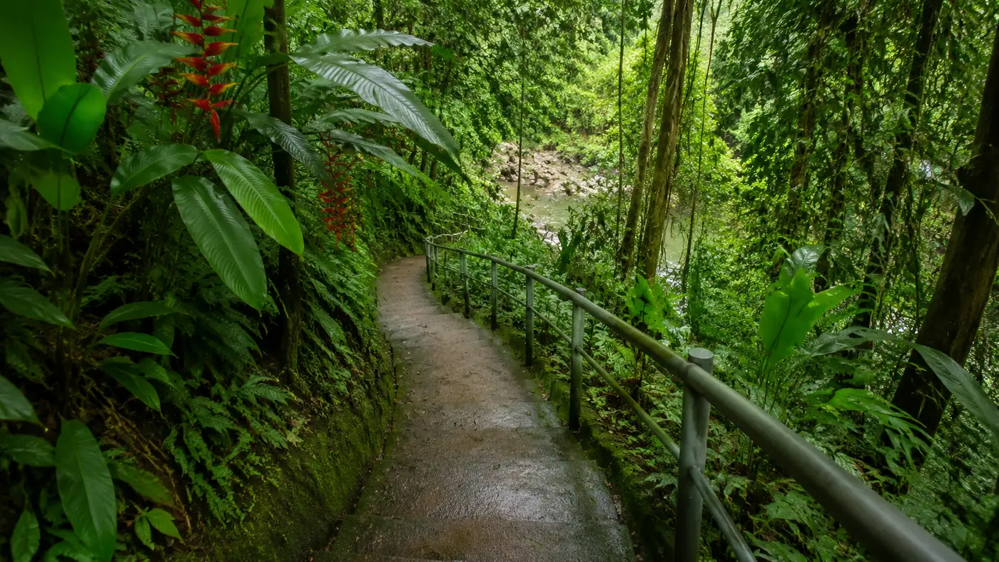 The cement path and steps down from the lot: about five minutes, slick where the algae grows.