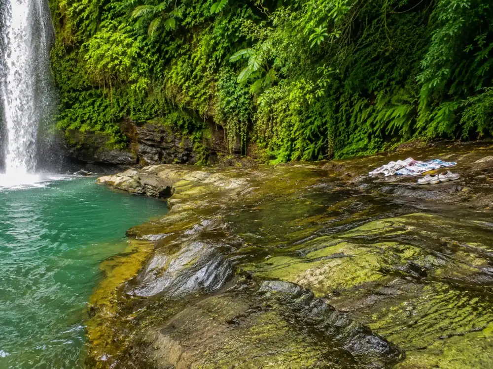 El saliente de roca mojada al lado de la poza, verde por las algas y resbaladizo